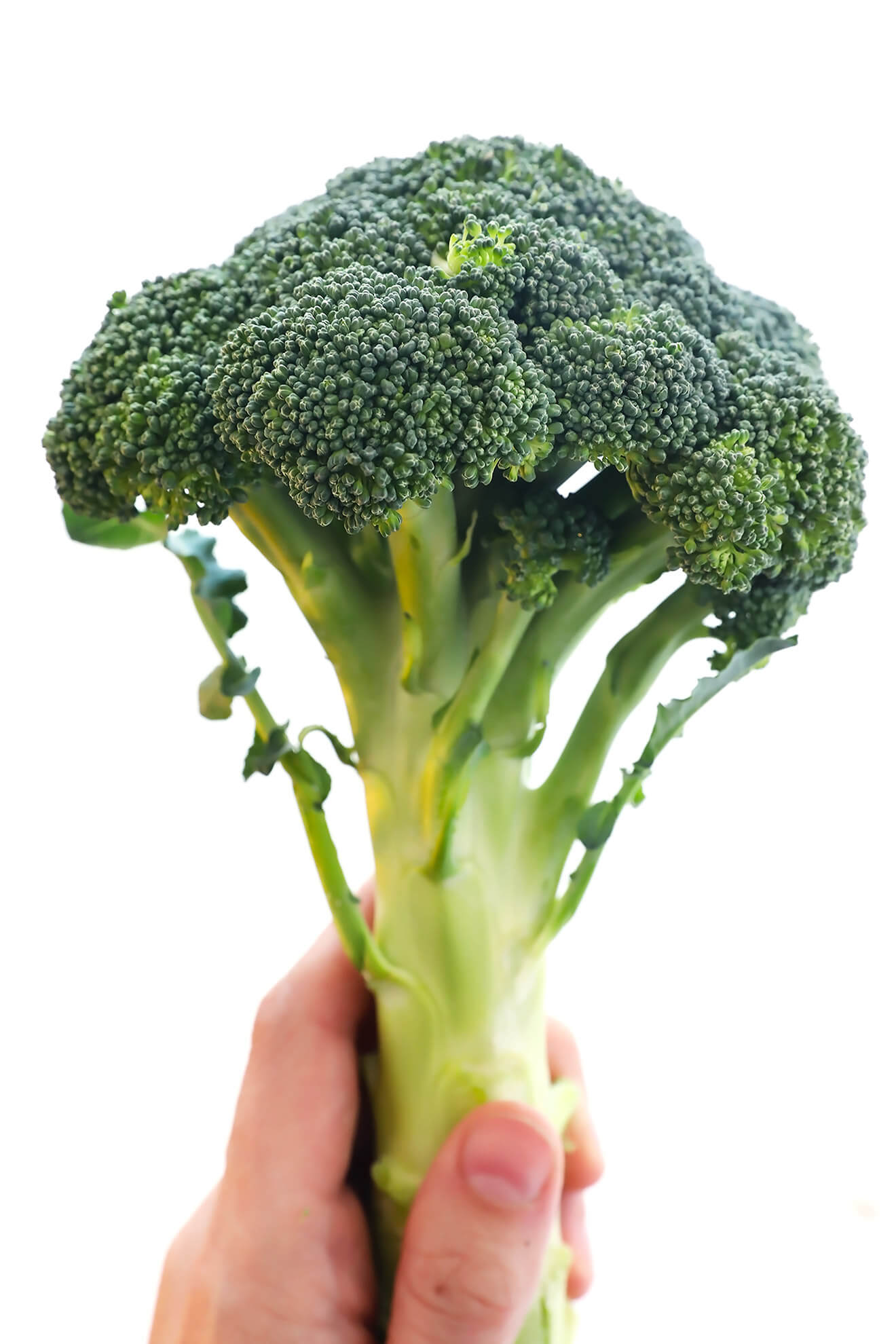 Innovative broccoli dishes at Italian Restaurants in Dubai